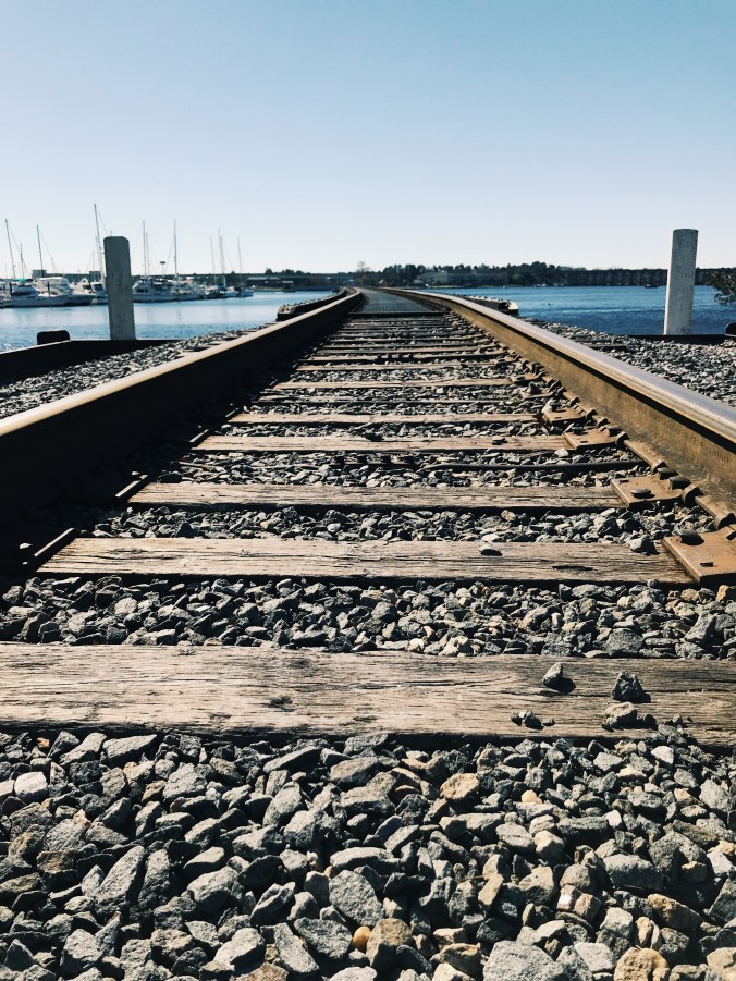 Processed with VSCO with g3 preset